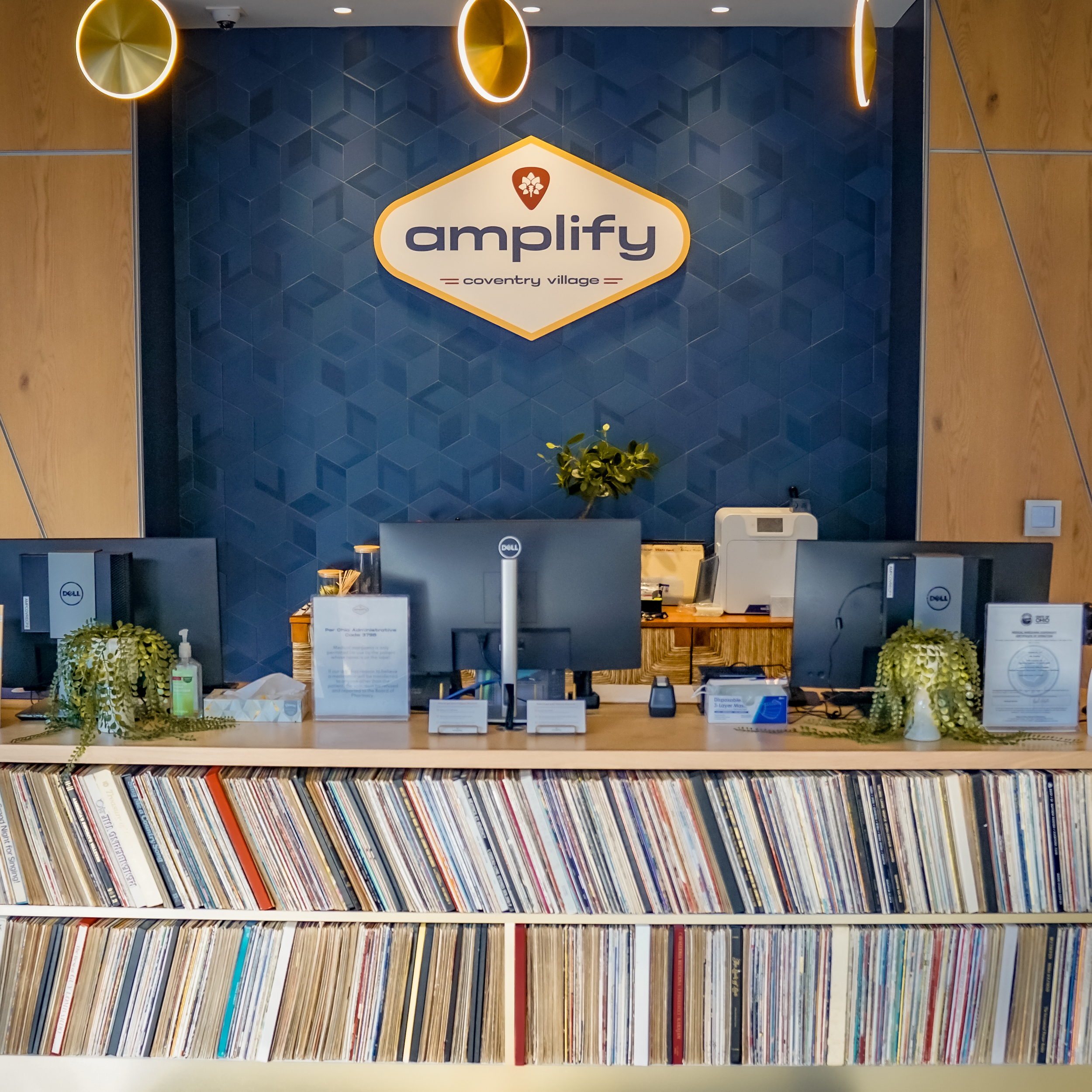 Amplify-Pic-2